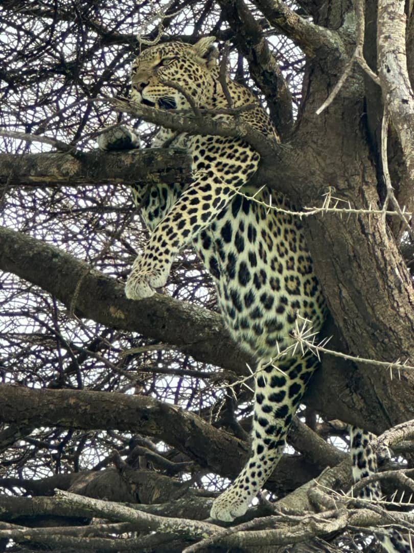 Tarangire Day Trip Itinerary
