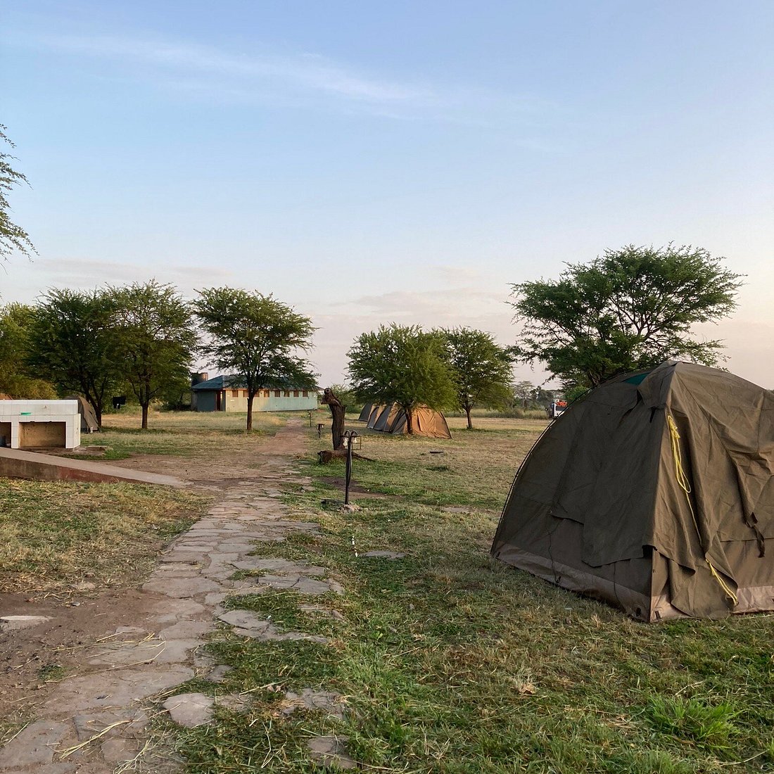 Full Day Adventure at Serengeti