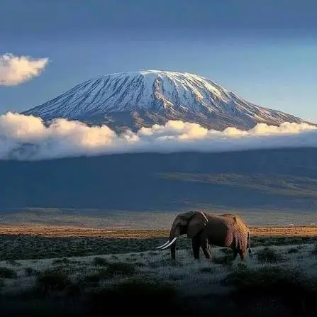 5-Day Marangu Route Kilimanjaro Climbing Tour 