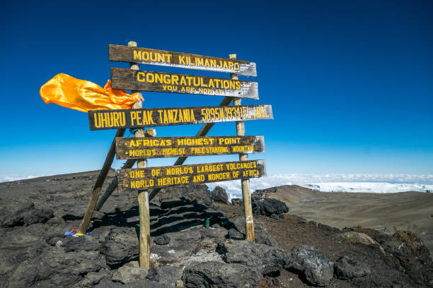 7 Days Lemosho Route Kilimanjaro Climbing Tour Package