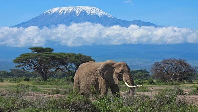 8-Day Lemosho Route Kilimanjaro Climbing Tour 