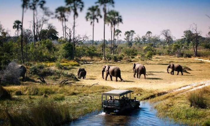 Tarangire Budget Day Trip Safari from Arusha
