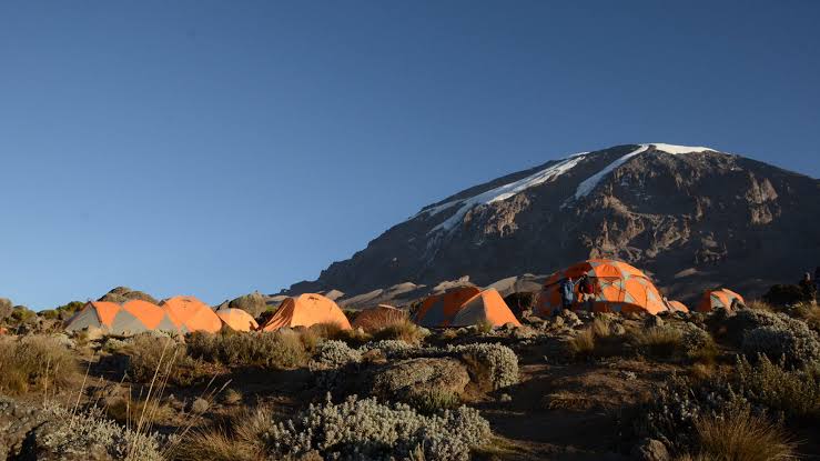 Kilimanjaro Climbing Tours : Packages , Prices & Guides