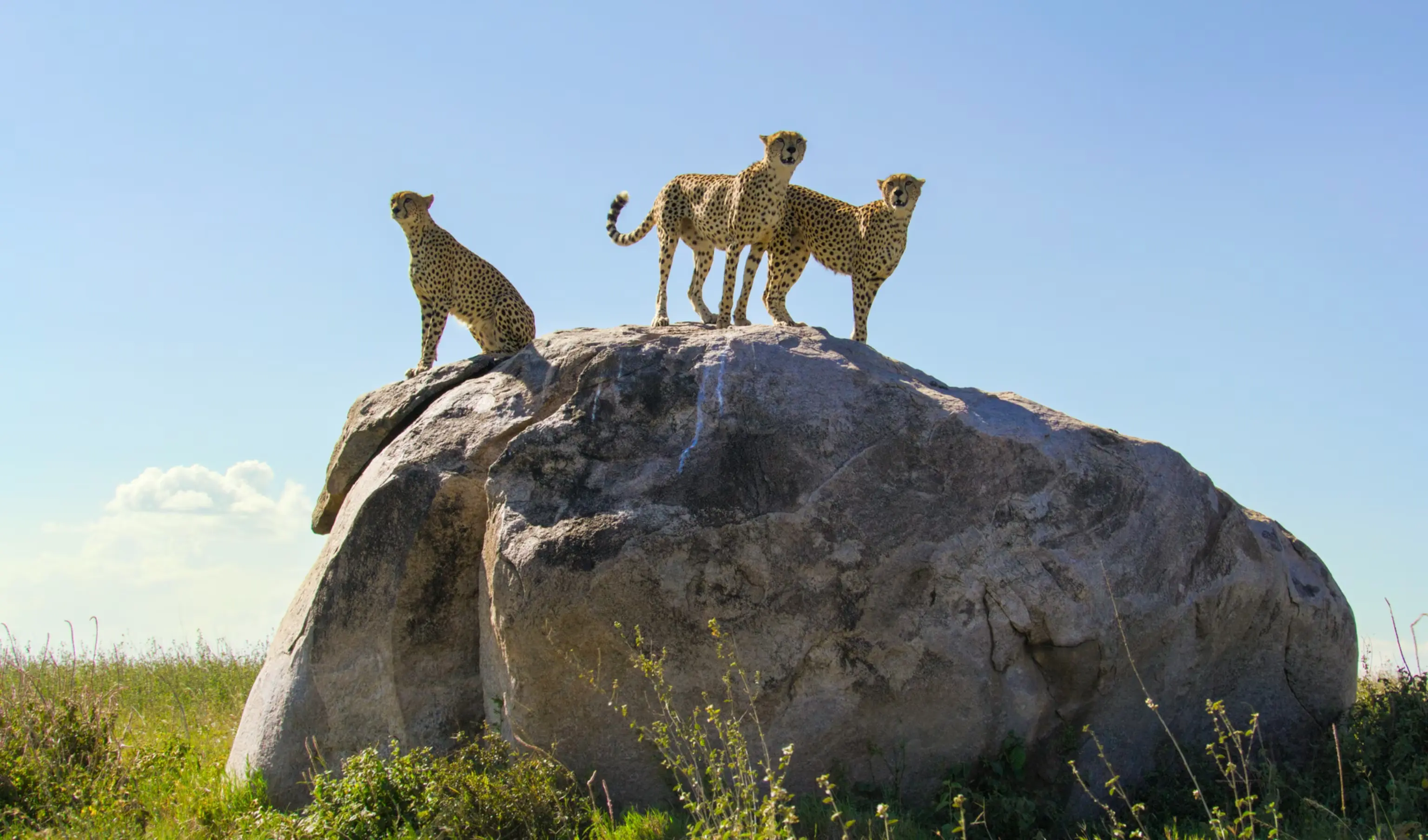 Serengeti National Park