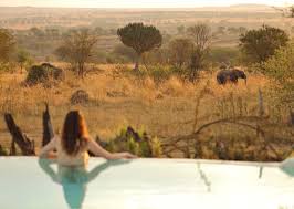Tanzania Luxury Safari Packages 