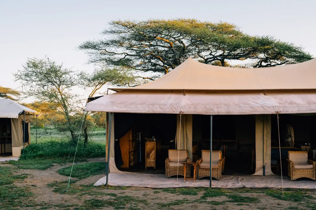 The Best Budget Safari Tour Packages in Tanzania