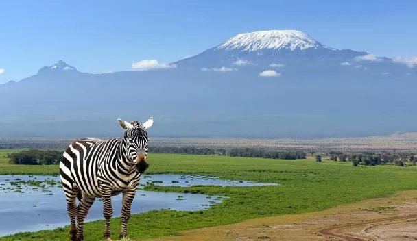 Kilimanjaro