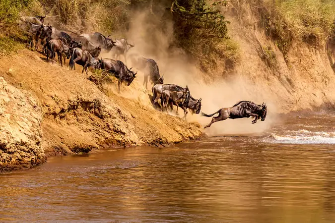 Serengeti